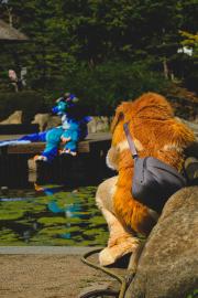 Eurofurence 30 furry convention at Hamburg Germany
