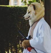Eurofurence 30 furry convention at Hamburg Germany