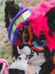 Eurofurence 30 furry convention at Hamburg Germany