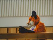 Eurofurence 30 furry convention at Hamburg Germany