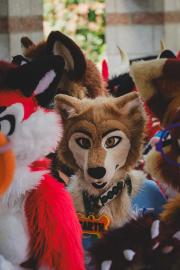 Eurofurence 30 furry convention at Hamburg Germany