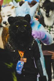 Eurofurence 30 furry convention at Hamburg Germany