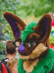 Eurofurence 30 furry convention at Hamburg Germany