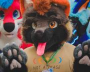 Eurofurence 30 furry convention at Hamburg Germany