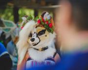 Eurofurence 30 furry convention at Hamburg Germany