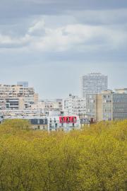 Paris roof top buildings in the nature with red window/balcony