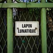 no description
https://www.flickr.com/photos/ztec/52144601333/
Albums: Paris