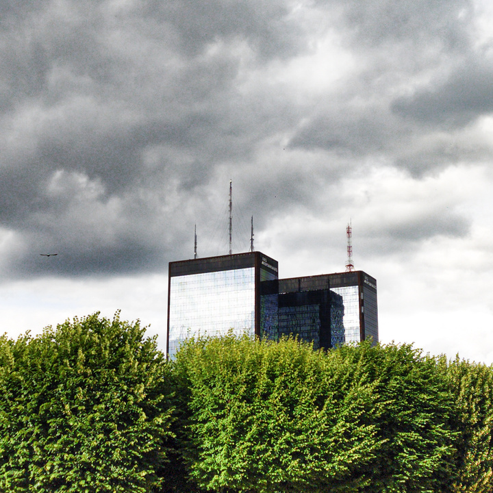 no description
https://www.flickr.com/photos/ztec/52144600878/
Albums: Paris