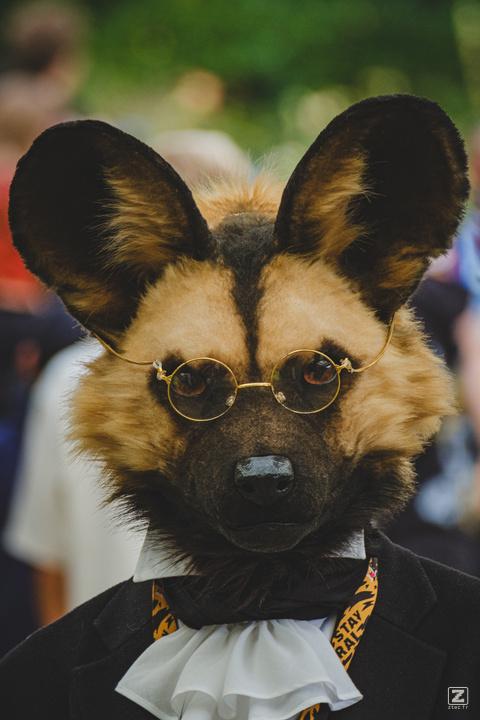 Eurofurence 30 furry convention at Hamburg Germany