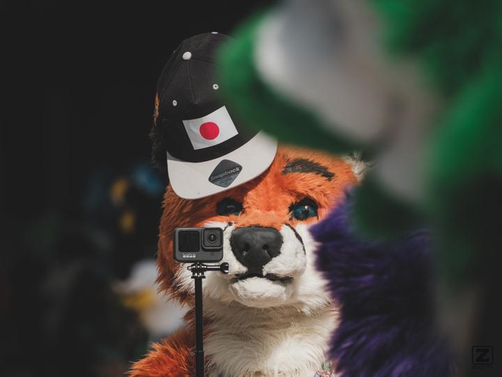 Eurofurence 30 furry convention at Hamburg Germany