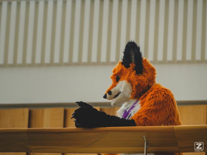 Eurofurence 30 furry convention at Hamburg Germany