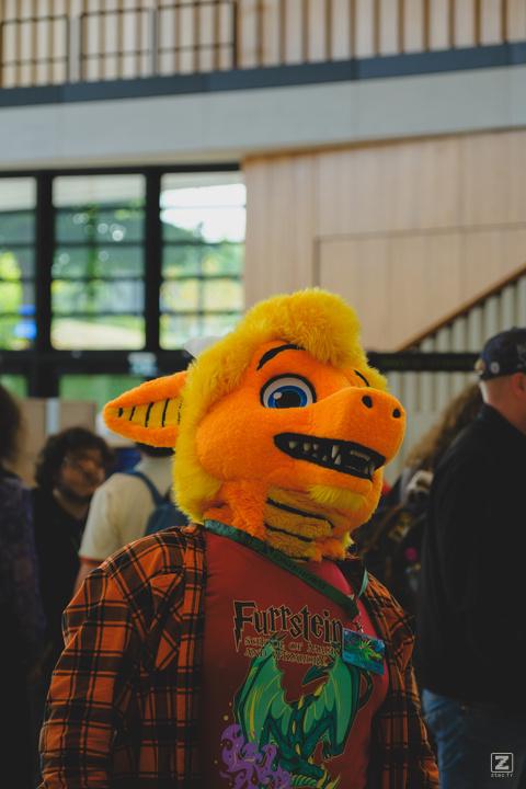 Eurofurence 30 furry convention at Hamburg Germany