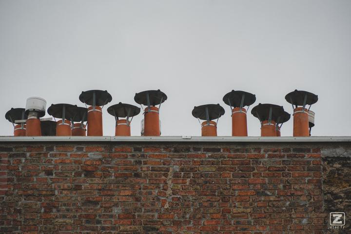 Multiple roof vents aligned lick mushroom on a roof