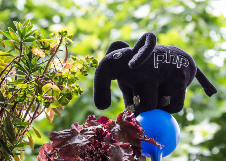 no description
https://www.flickr.com/photos/ztec/34280041423/
Albums: Php