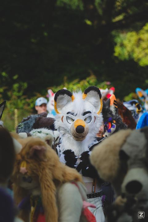 Eurofurence 30 furry convention at Hamburg Germany