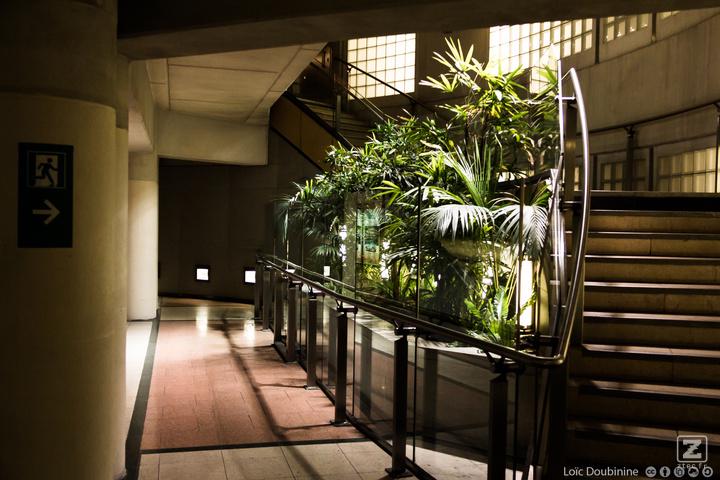 Oasis is good enough to be placed underground in the subway pedestrians tunnels. Feel free to folow the emergency exi to the underground forest !
https://www.flickr.com/photos/ztec/8942658037/
Albums: Nature