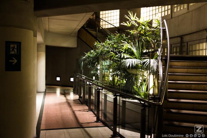 Oasis is good enough to be placed underground in the subway pedestrians tunnels. Feel free to folow the emergency exi to the underground forest !
https://www.flickr.com/photos/ztec/8942658037/
Albums: Nature