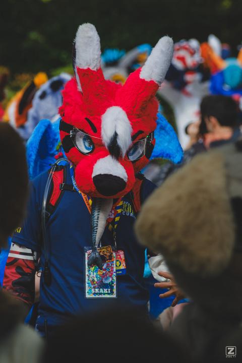Eurofurence 30 furry convention at Hamburg Germany