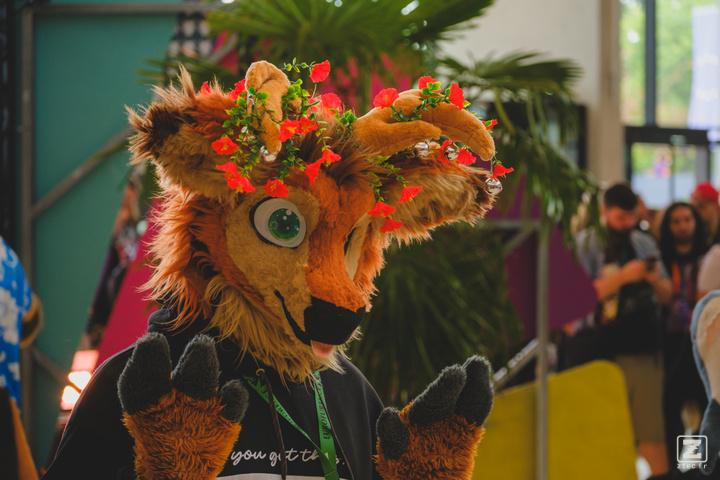 Eurofurence 30 furry convention at Hamburg Germany