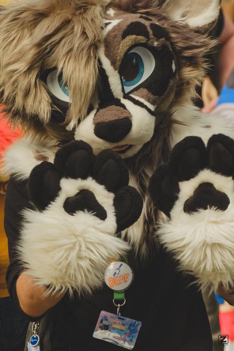 Eurofurence 30 furry convention at Hamburg Germany