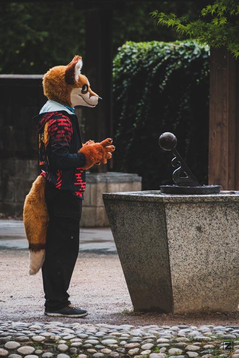 Eurofurence 30 furry convention at Hamburg Germany