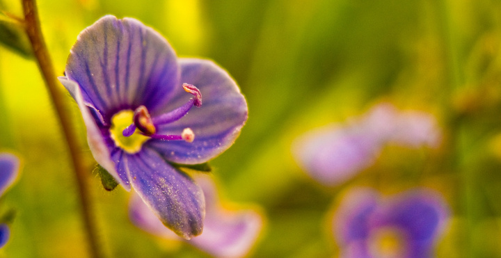 no description
https://www.flickr.com/photos/ztec/8434317324/
Albums: Nature