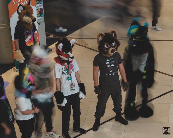 Eurofurence 30 furry convention at Hamburg Germany