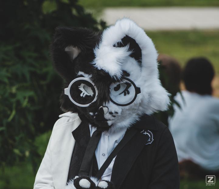 Eurofurence 30 furry convention at Hamburg Germany