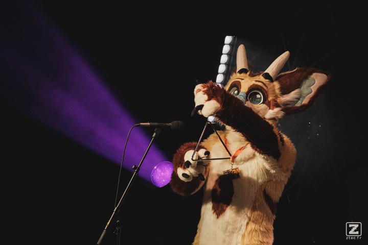 Eurofurence 30 furry convention at Hamburg Germany
