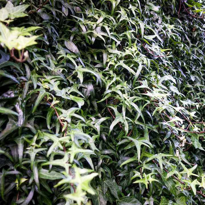 no description
https://www.flickr.com/photos/ztec/52144818784/
Albums: Paris