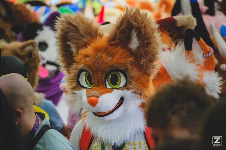 Eurofurence 30 furry convention at Hamburg Germany