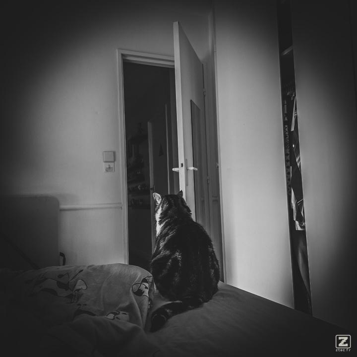 Martine is sitting on the corned of the bed, facing her back to us.