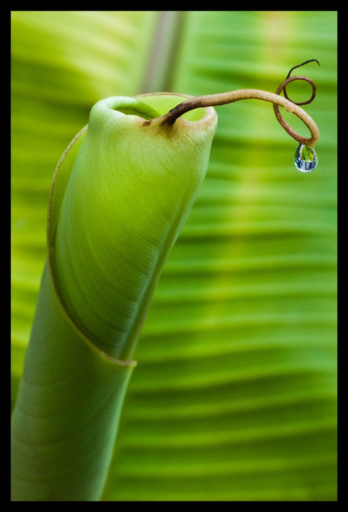 no description
https://www.flickr.com/photos/ztec/8434318236/
Albums: Nature