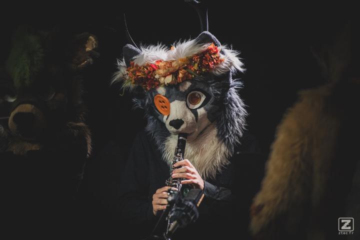 Eurofurence 30 furry convention at Hamburg Germany
