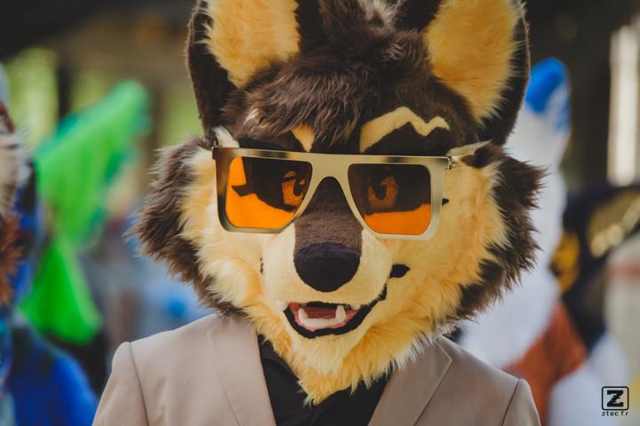 Eurofurence 30 furry convention at Hamburg Germany