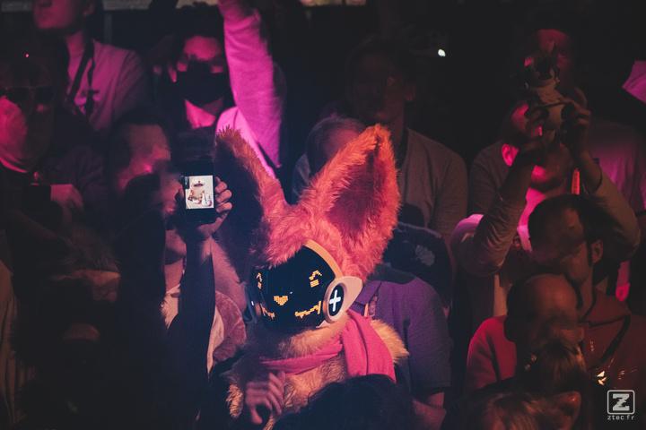 Eurofurence 30 furry convention at Hamburg Germany