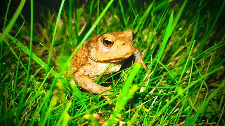 no description
https://www.flickr.com/photos/ztec/26956736209/