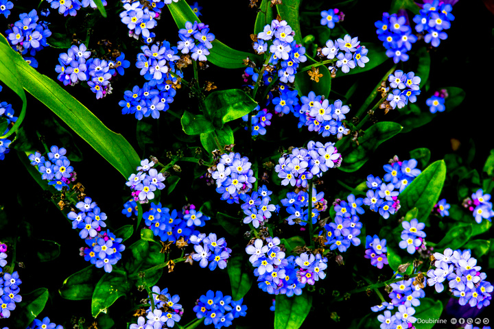 no description
https://www.flickr.com/photos/ztec/13958366311/