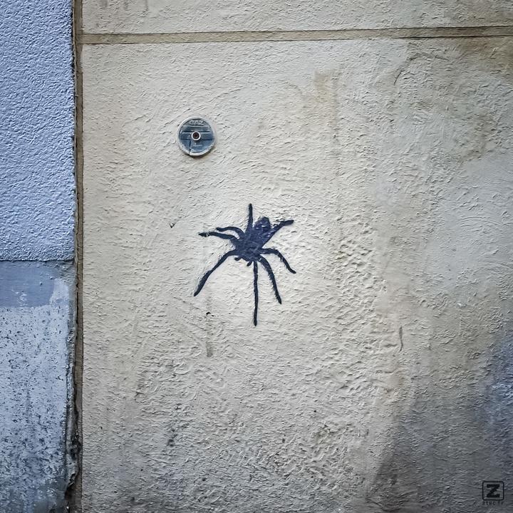 no description
https://www.flickr.com/photos/ztec/52145066890/
Albums: Paris