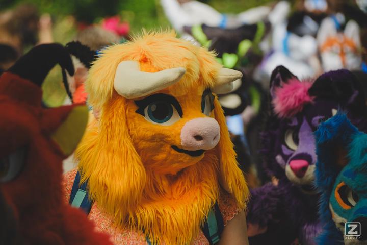 Eurofurence 30 furry convention at Hamburg Germany