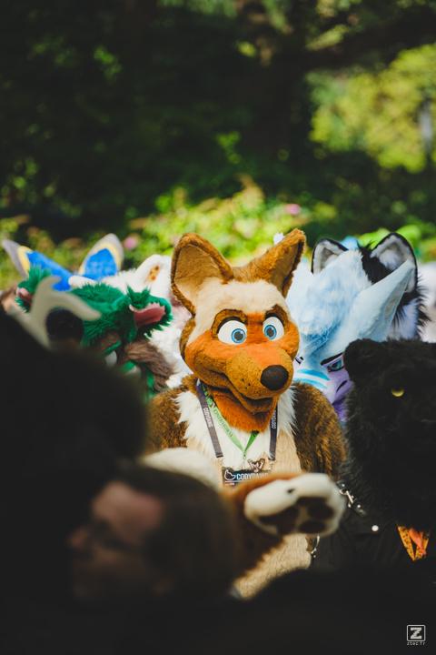 Eurofurence 30 furry convention at Hamburg Germany