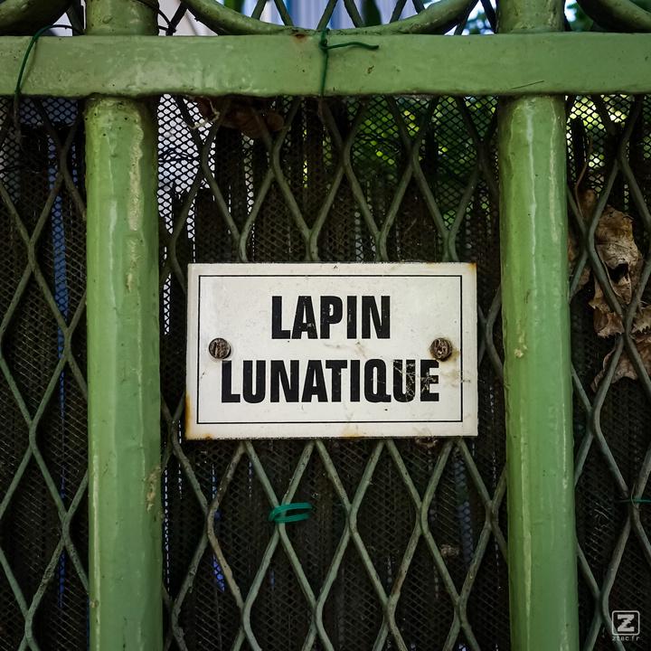 no description
https://www.flickr.com/photos/ztec/52144601333/
Albums: Paris