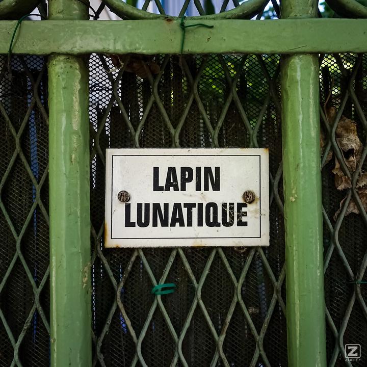 no description
https://www.flickr.com/photos/ztec/52144601333/
Albums: Paris