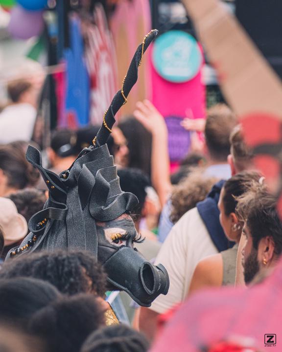 A black unicorn in the crowd