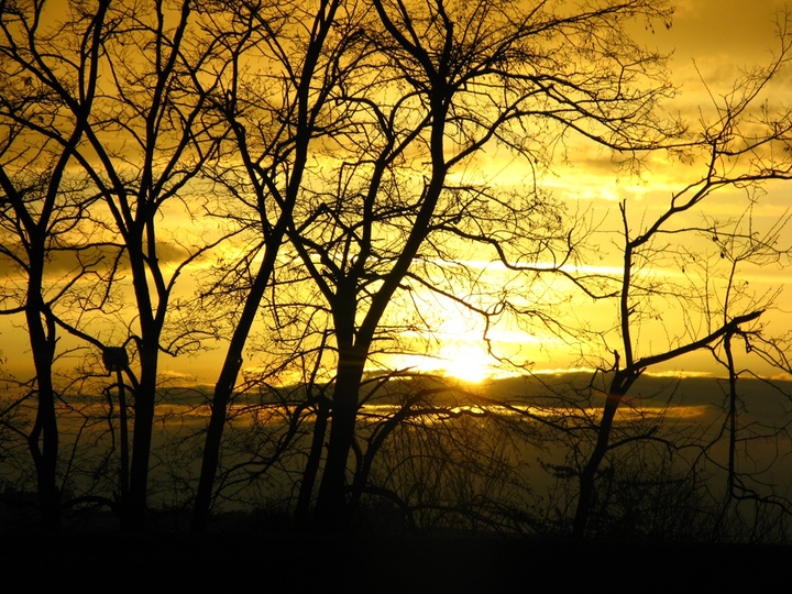 Vue de l'A6 près de Paris
https://www.flickr.com/photos/ztec/8433231783/
Albums: Nature