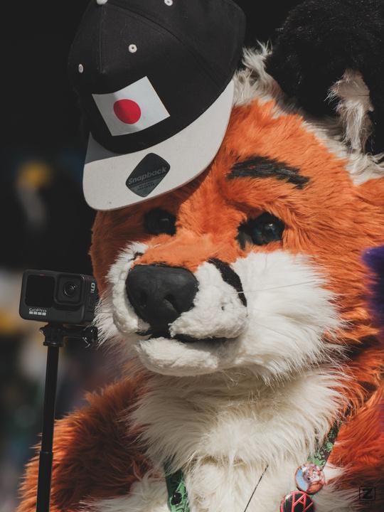 Eurofurence 30 furry convention at Hamburg Germany