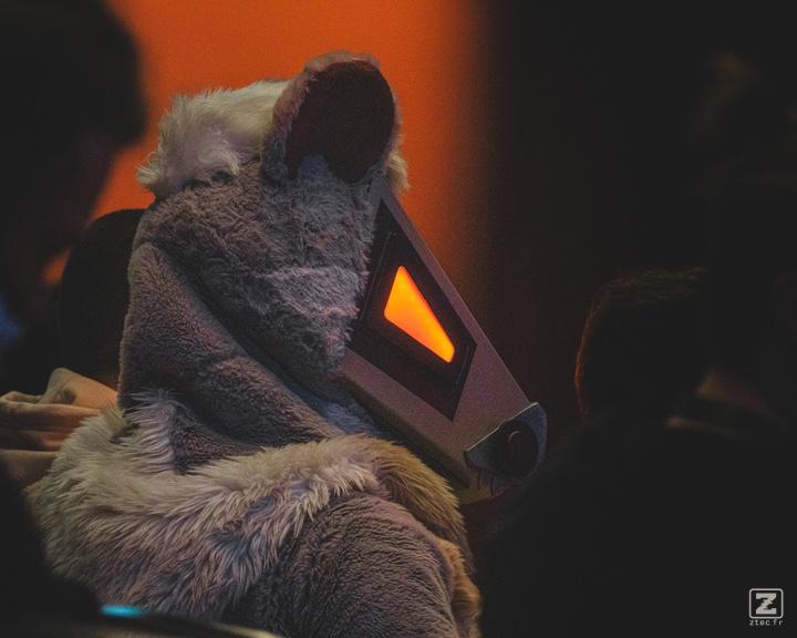 Eurofurence 30 furry convention at Hamburg Germany