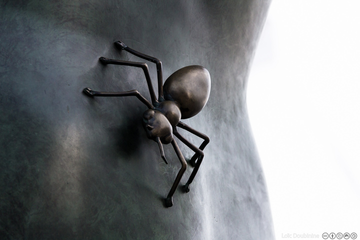 no description
https://www.flickr.com/photos/ztec/9473538163/