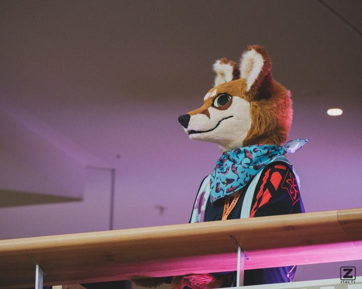 Eurofurence 30 furry convention at Hamburg Germany