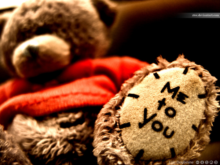 This litle bear is sitting in my cars since I have it. Try to find it if you came in one day :-)
https://www.flickr.com/photos/ztec/9569772955/